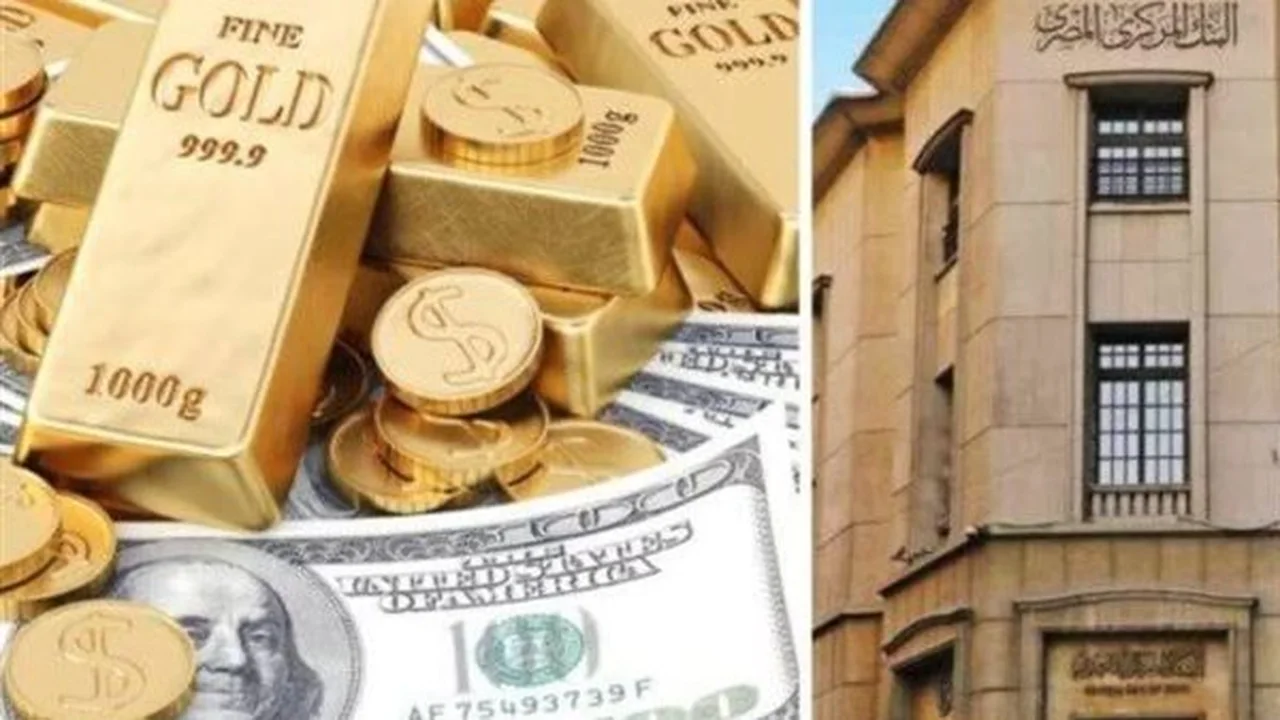 أسباب تحرير المركزي لسعر صرف الدولار وتداعيات ذلك على أسعار الفائدة